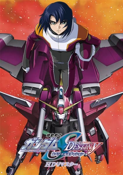 Mobile Suit Gundam SEED Destiny Special Edition