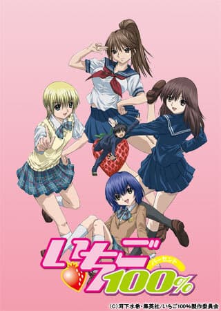 Strawberry 100%