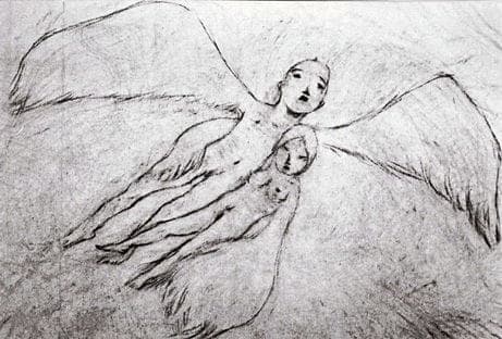 A Feather Stare at the Dark