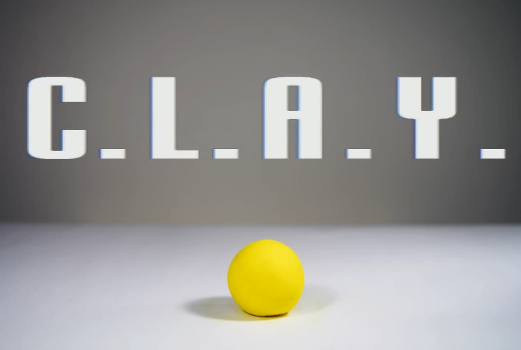 C.L.A.Y.