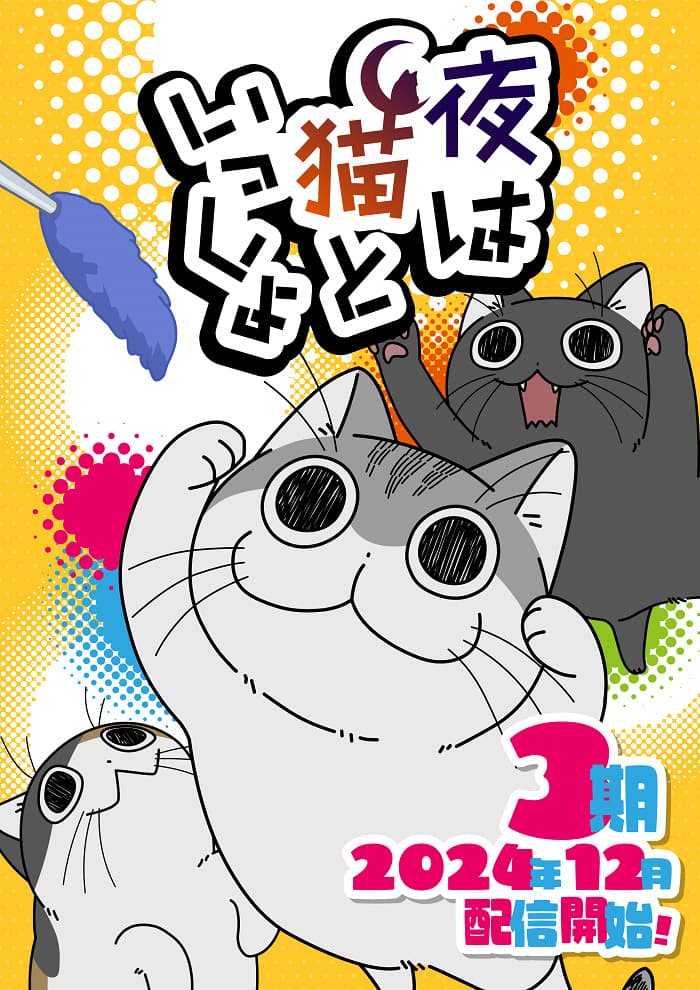 Nights With a Cat Season 3