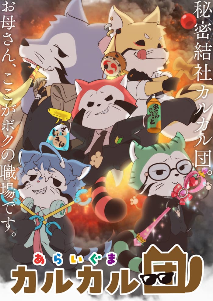 Raccoon Calcal Force